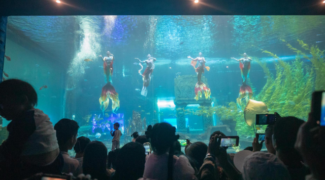 国庆必打卡！海底美人鱼回归！