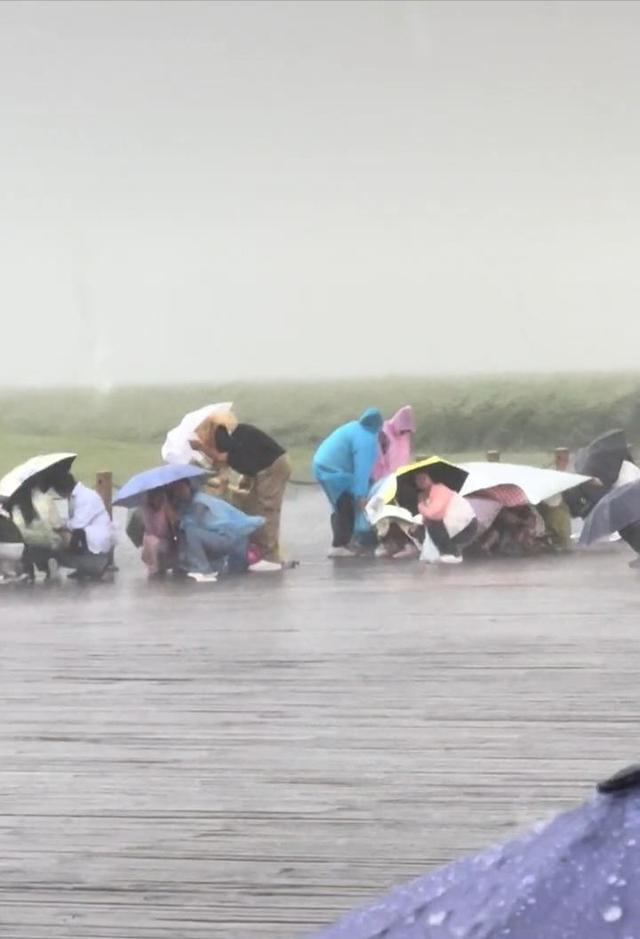 黑龙江一景区游客抱团蹲地和丹顶鹤一起“硬抗”暴雨，景区回应
