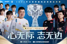 王者荣耀挑战者杯巅峰对决，冰凤凰杯花落谁家？图片