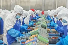 回顾巴黎奥运会：潜江小龙虾销量大增，一公司赛期销往欧洲400吨图片