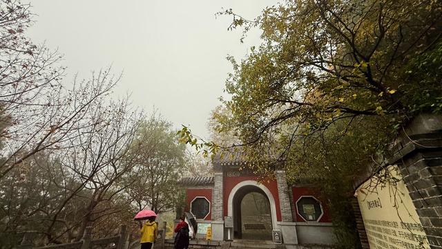 新视界｜济南佛慧山：初冬木叶黄 山高雾沾衣