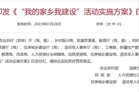退休人员返乡后：有人在沙漠绿洲承包70亩地培育瓜种，有人住进深山祖宅种药材图片