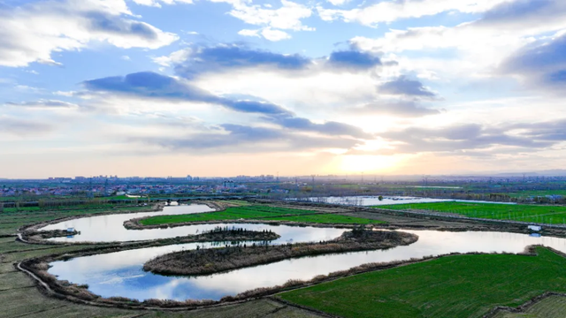 谁说冬天只有白色！快来解锁冀南新区冬日色彩