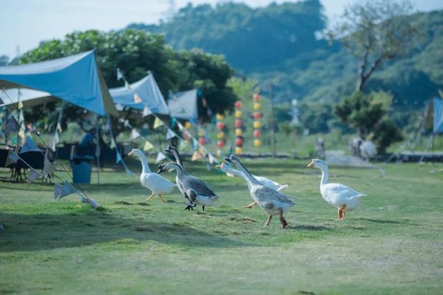 来啊，一起“躺坪”！增城「露营公园」指南→