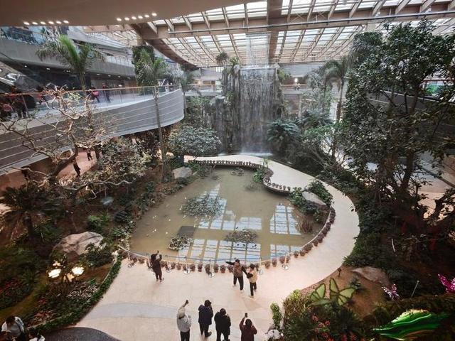 秋日限定美景已上线，济南邀您共赴金秋之约