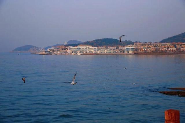 真正的浪漫，是冬天去威海看海