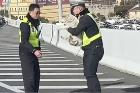 事发上海高架，这位交警也太温柔了吧！全网在找，后续来了↗图片