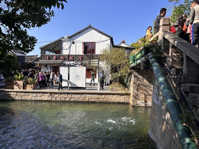 朱家角古镇现“果冻河”：破解“水乡无水清”，争创5A成关键契机