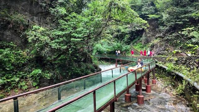 层林尽染，走进保康的秋日诗篇！