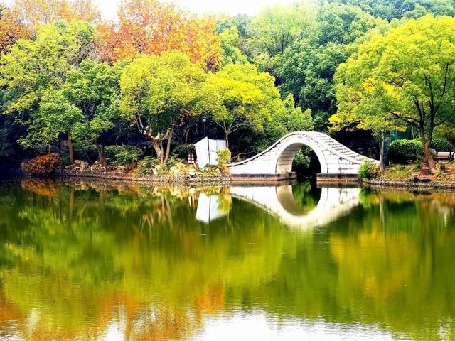 “黑马”TOP10，扬州上榜！