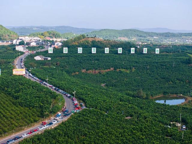 青睐绵阳 ‖ 秋假“趣”哪玩？梓潼已为您备好4条宝藏线路等您打卡～