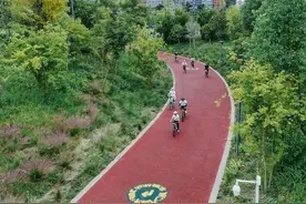 四川天府新区骑行绿道上新 已累计建成生态绿道440公里图片