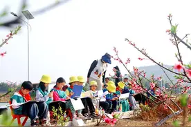 “思政小课堂”进茶山 青少年感受乡村蝶变图片