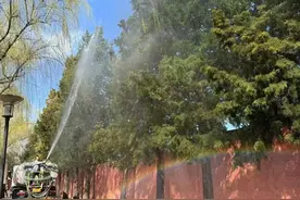 春季花粉高峰期，北京这样“降浓度”图片