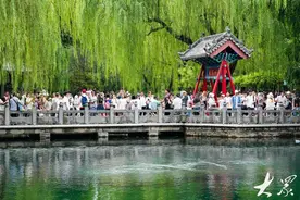 雨润泉城！趵突泉水位四天涨16厘米图片
