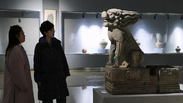 乘着高铁冬游南海 解锁宝藏旅居目的地