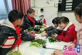 眉山彭山四小范恒劳动教育名师工作室开展送教活动图片