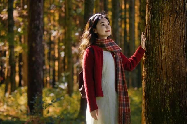 醴陵出发1日游天花板！秋景温泉全搞定！