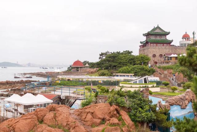一张门票一日游，打包青岛冬日海底+海上精华的路线攻略来啦