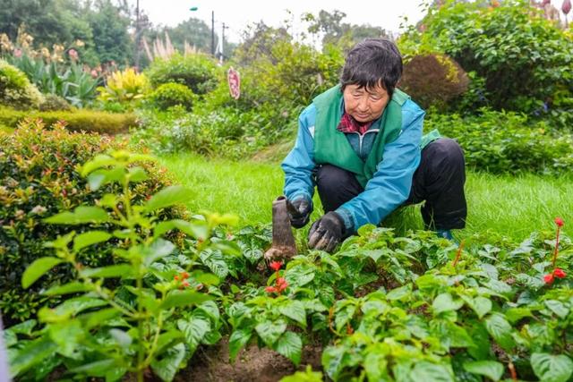 在蜀山，转角遇见美！这些地方已更新→