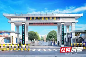 芙蓉花开满园春⑩｜在长实，让有潜质的学生“拔节生长”图片