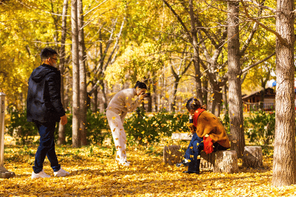 11月，是时候来一趟徐州了