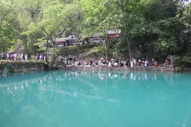 香港媒体团走进荔波小七孔 共赴春日文旅之约图片