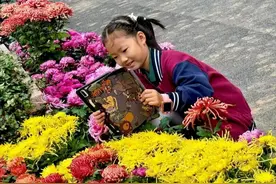 这样有花头的“菊文化节”你见过吗？孩子和家长都超爱！图片