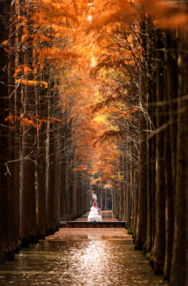 宝藏仙桃，太“鲜”啦！（采风招募）