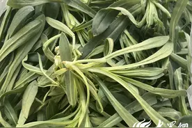 舌尖上的春天丨黄河口春味：野菜里的岁月沉香图片