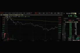 拟购孚邦实业 ST宇顺借钱并购“谋变”图片