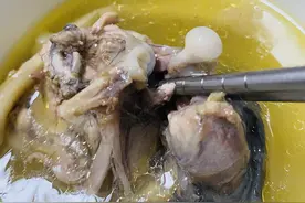 樱桃甲鱼，到底为啥好？图片