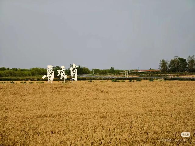 立冬第一游去哪里？淮安5处目的地，这个时节美翻了！