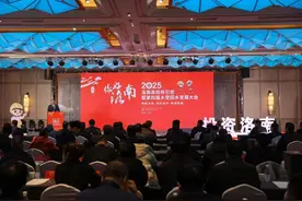 洛南县2025年招商引资暨第四届乡党回乡发展大会举行图片
