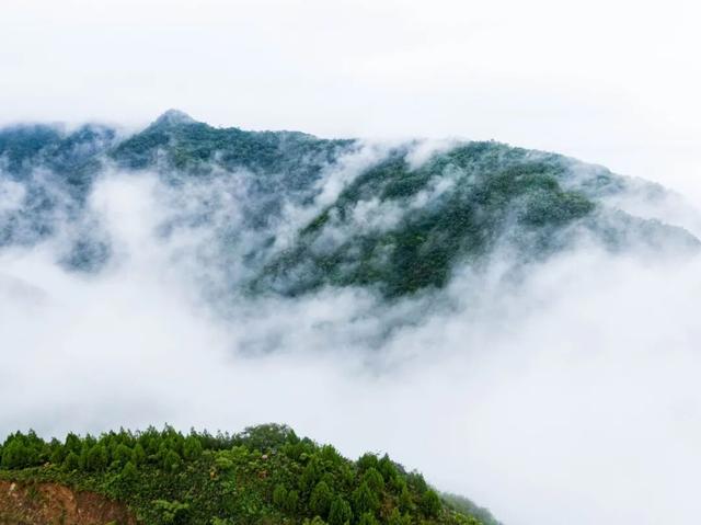 临潼藏了片 “云海仙境”！每一眼都是朦胧的美→
