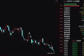 多股20%封板！赛道股，涨停潮！图片