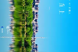 追光·大美银川丨不要只追太阳，晶莹的露珠里还藏着月亮图片