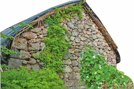 念好“长寿经” 生活有奔头图片