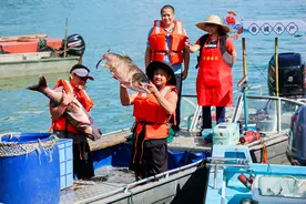 广东河源万绿湖开渔迎丰收 5条“头鱼”共拍得善款超百万元图片