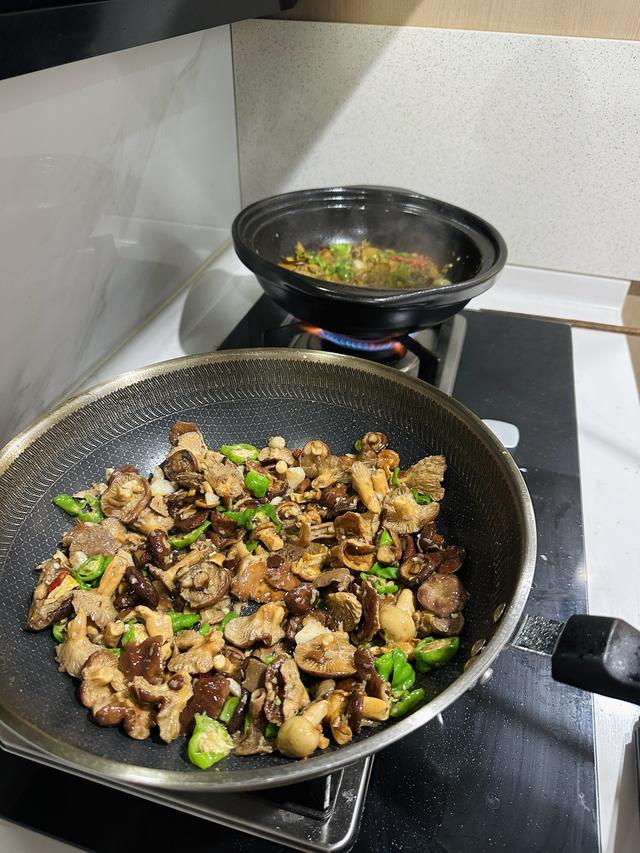 写点生活｜昆明避暑之菌菇篇