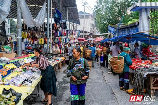 秋游时刻丨湘西苗族聚集地的赶集日常，藏着最鲜活的民族烟火
