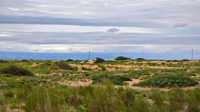 巴彦淖尔这座城，比你想象的更“宝藏”