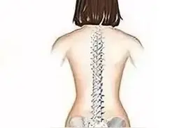 姿势不对，腰受罪！这2个姿势伤腰最狠，偏偏很多男女做上瘾图片