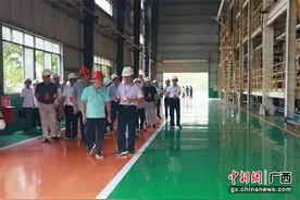 南宁市隆安县开展人大监督 助力经济发展图片