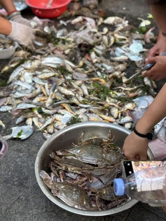 大堵车，4小时车程开了7个多小时！上海人自驾去外地吃蟹，吐槽“价格不比家门口便宜”