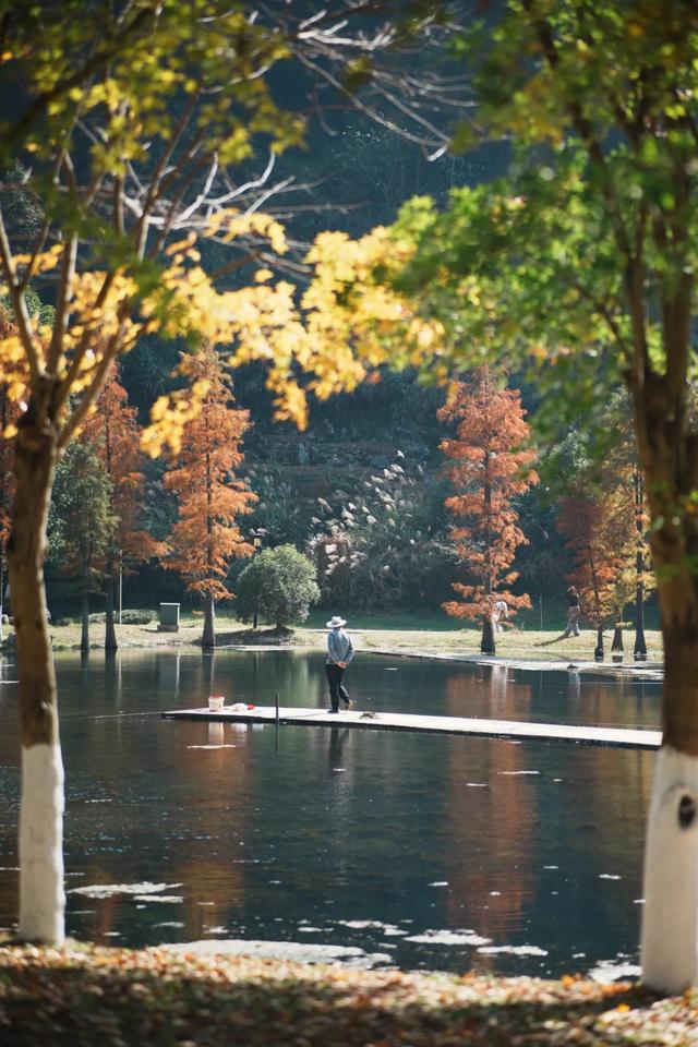 现在的黔南，已经美成这样了→