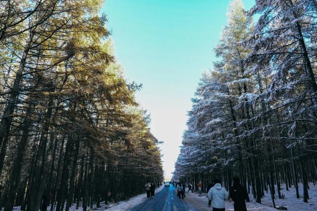 2026的呼和浩特：要打卡，更要你留下！