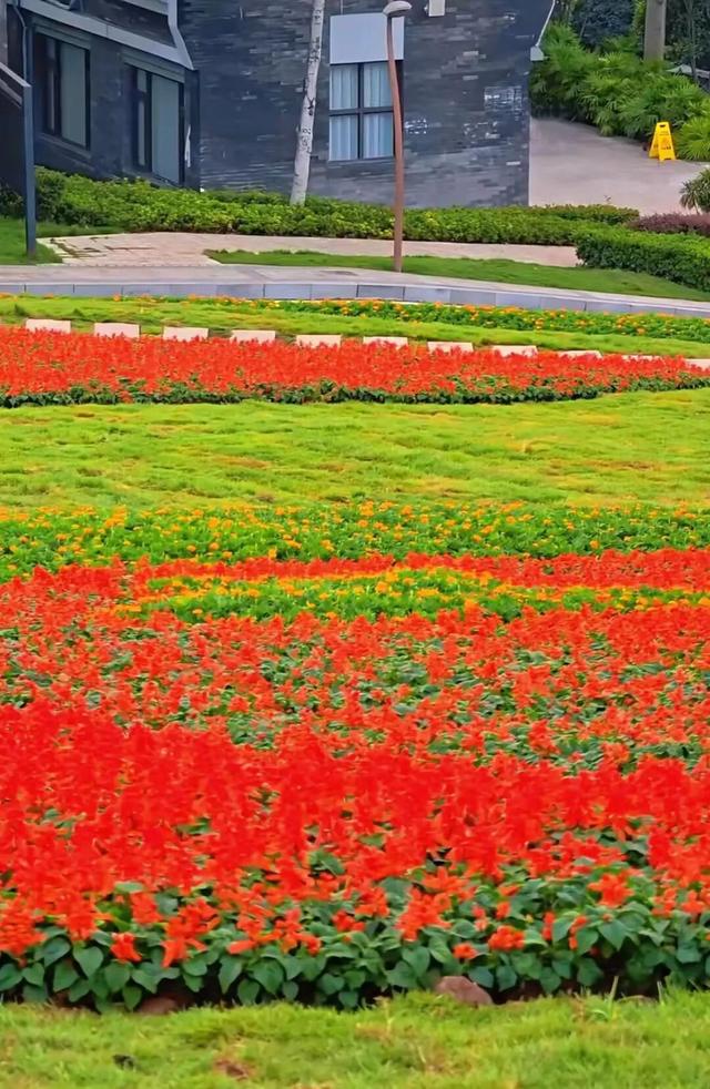 花海、涂鸦、芦苇……“仙气飘飘”的艺术宝地！出行正当季