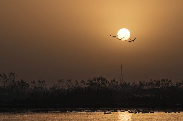 胡昶：从川西秘境到家园晨曦