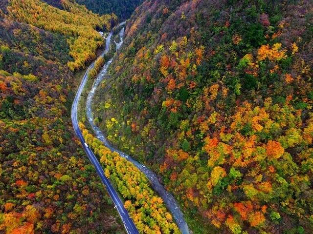 出片率100%！湖北的秋天太卷了